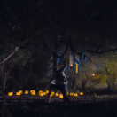 StillCut_5