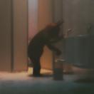 StillCut_2