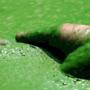201904150547395197.png