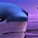 StillCut_12