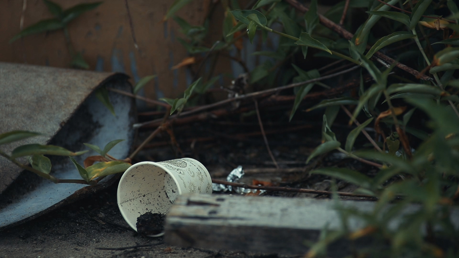 야생쓰레기구조 프로젝트