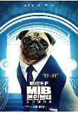 Poster_6