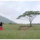 StillCut_0