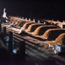 StillCut_1