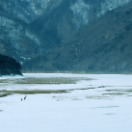 StillCut_1