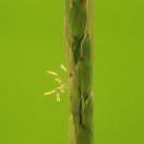 StillCut_16