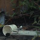 StillCut_1