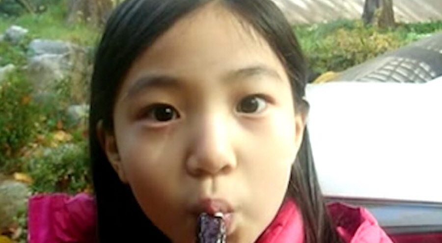 우리는 얼마나 많은 개미들을 죽였는가?