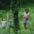 StillCut_0