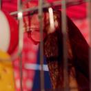 stillcut_1_220190520164039.jpg