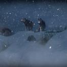 StillCut_1