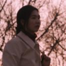 StillCut_0