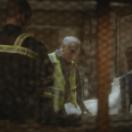 StillCut_7