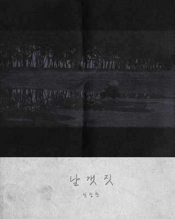 날갯짓