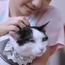 StillCut_11