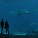 StillCut_10