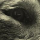 StillCut_2