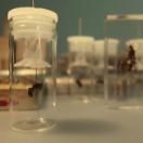 StillCut_1