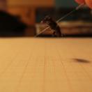 StillCut_0
