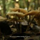 StillCut_1