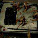 StillCut_6