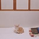 StillCut_10