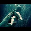 StillCut_12
