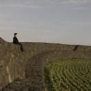 StillCut_2