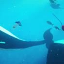 StillCut_0