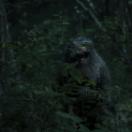 StillCut_6