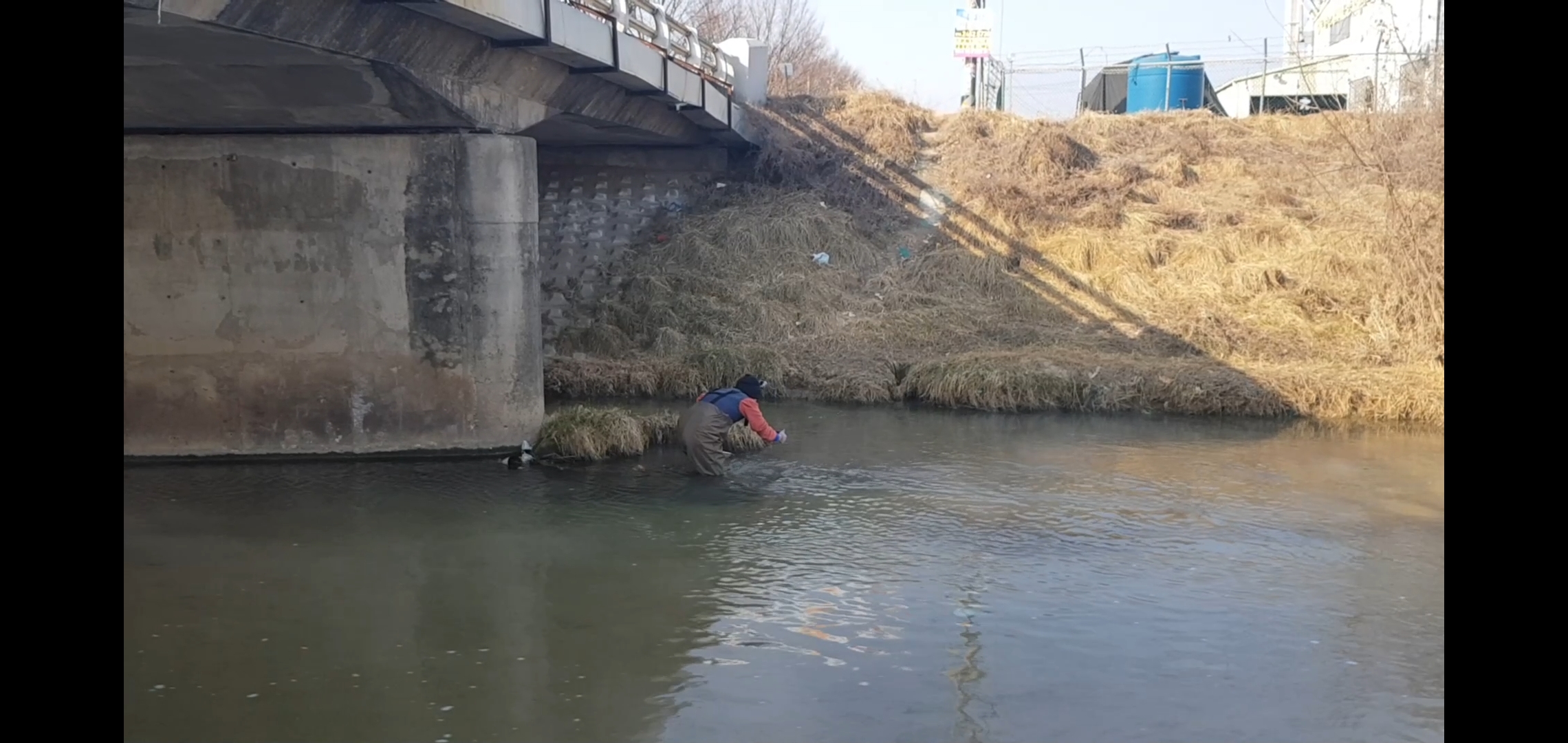 방생하지 말아주세요
