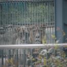 StillCut_8