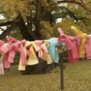 StillCut_2