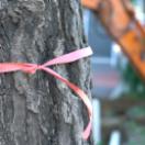 StillCut_0