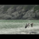 StillCut_11