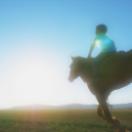 StillCut_4