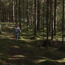 StillCut_1