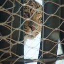 StillCut_7
