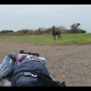 StillCut_3