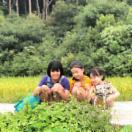 StillCut_18