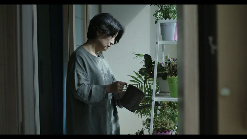 화분