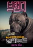 Poster_6
