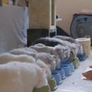 StillCut_10