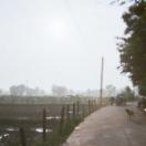 StillCut_0