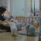 StillCut_8