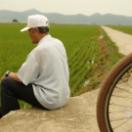 StillCut_0