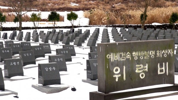 아직, 제주도는