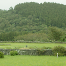 StillCut_5