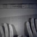 StillCut_0