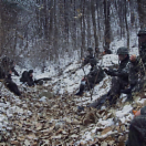 StillCut_2